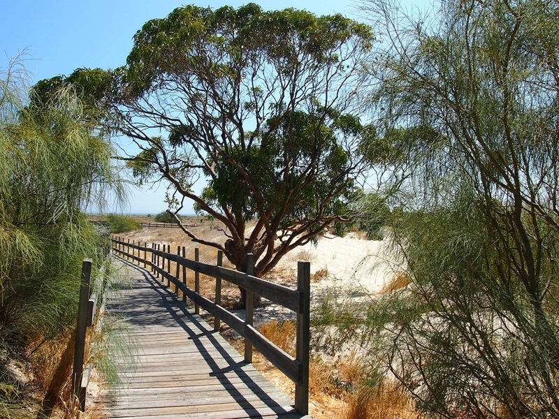 Península de Tróia: Um Paraíso à Beira-Mar em Portugal