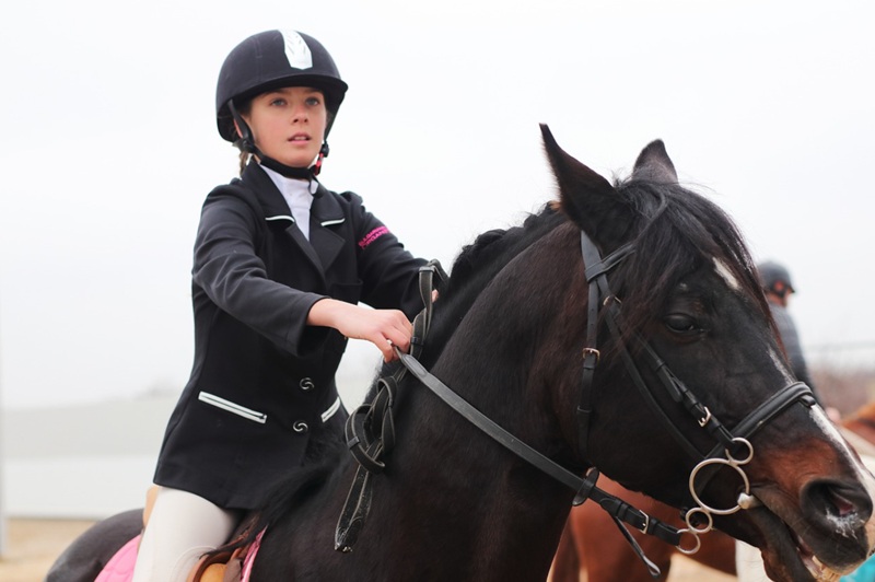 8 Melhores Centros Hípicos de Lisboa a Cascais: Para os Apaixonados por Cavalos
