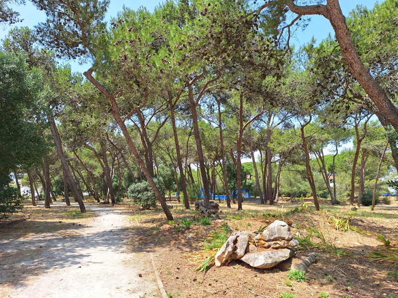 Parque Pinhal de Aldeia de Juso