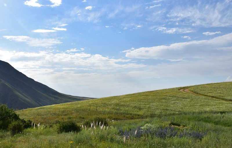 Quinta do Pisão: natureza, história e aventura entre Cascais e Sintra