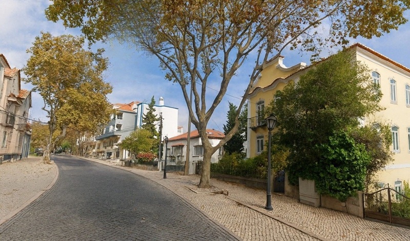 Avenida Sabóia: História, Charme e Sofisticação no Estoril