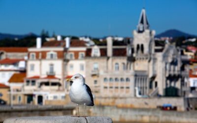 Quanto custa um imóvel em Cascais?