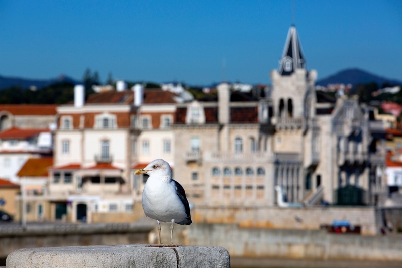 Quanto Custa um imóvel em Cascais