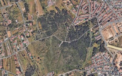 Cascais anuncia o maior parque verde urbano do concelho