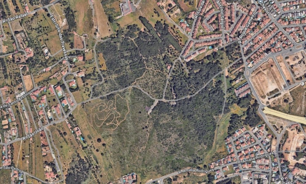 Cascais anuncia o maior parque verde urbano do concelho