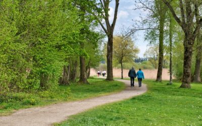Os melhores parques de Cascais – natureza, lazer e qualidade de vida