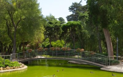 Parque Marechal Carmona – O refúgio verde no coração de Cascais