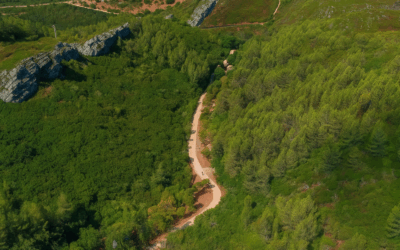 Trilho da Ribeira das Vinhas: natureza, história e arte em Cascais