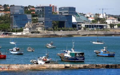 Divisão Territorial de Cascais: Entenda o que é Concelho, Freguesias e Outros Termos