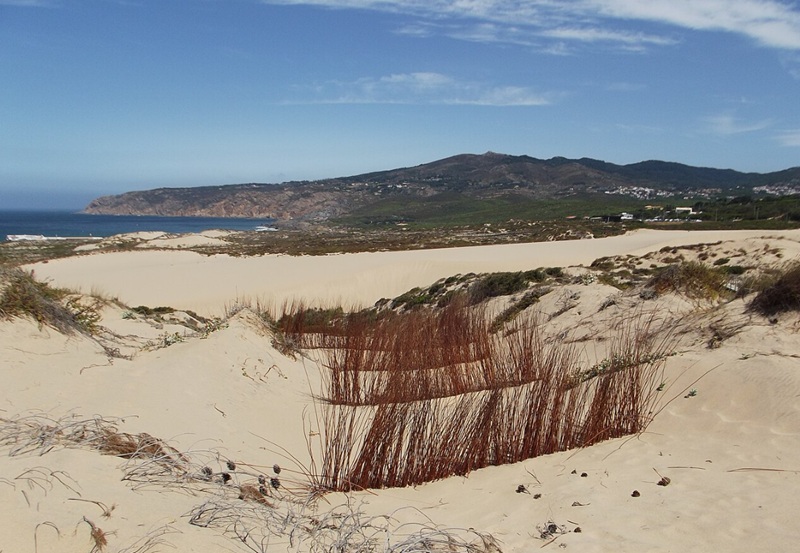 Duna da Cresmina em Cascais: natureza preservada na zona do Guincho
