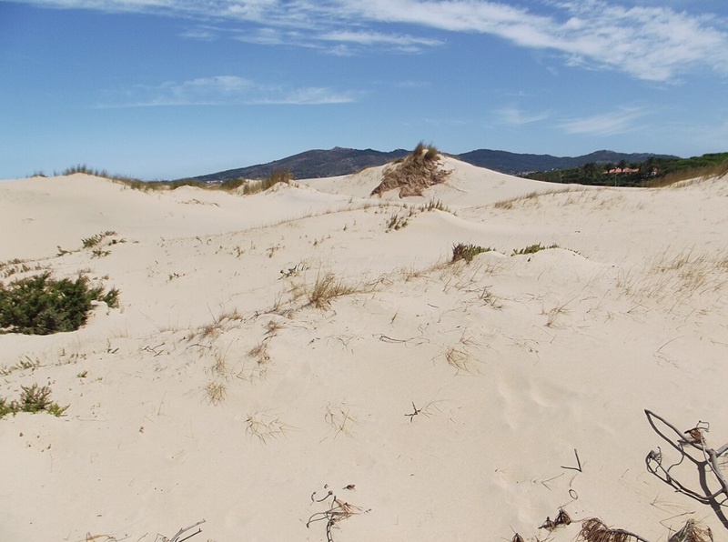 Dunas do Guincho Cascais