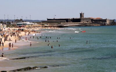 Alto da Barra, Oeiras: Guia completo para morar no bairro